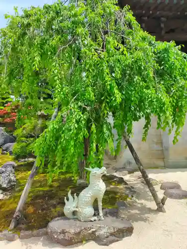 養泉寺(三重県)