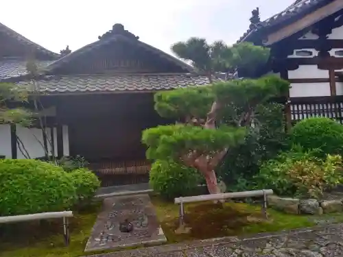 妙心寺（妙心禅寺）(京都府)