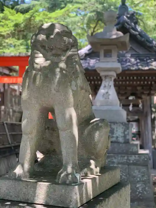玉前神社の狛犬