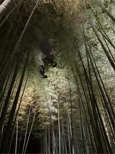 高台寺（高台寿聖禅寺・高臺寺）(京都府)