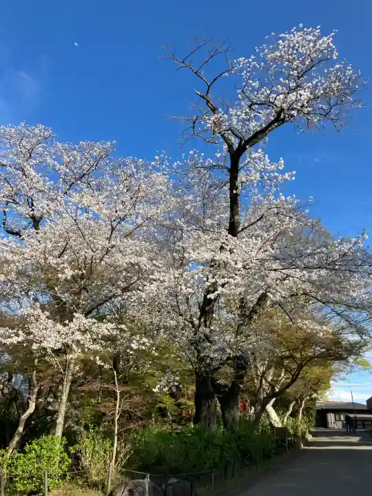 本土寺(千葉県)