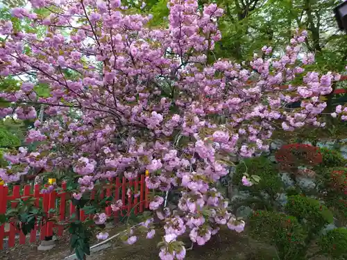 建勲神社の自然