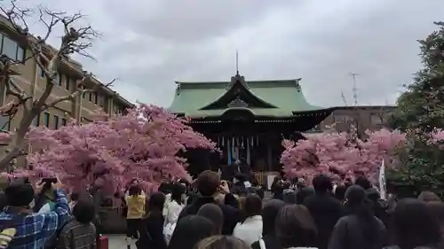 桜神宮(東京都)