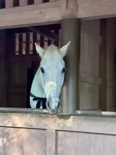 伊勢神宮外宮（豊受大神宮）の{uncategorized: "未分類", other: "その他", undefined: "問題あり", building: "その他建物", grave: "お墓", sacred_gate: "鳥居", guardian: "狛犬", statue: "像", buddha: "仏像", history: "歴史", nature: "自然", garden: "庭園", animal: "動物", pagoda: "塔", temizu: "手水舎", mountain_gate: "山門・神門", sanctuary: "本殿・本堂", subordinate: "末社・摂社", art: "芸術", scenery: "景色", jizo: "地蔵", ema: "絵馬", goshuin: "御朱印", omikuji: "おみくじ", items: "授与品その他", amulet: "お守り", goshuincho: "御朱印帳", eats: "食事", festival: "お祭り", votive_dance: "神楽", shichigosan: "七五三参", wedding: "結婚式", experience: "体験その他", initially: "初詣", around: "周辺", anti_infection: "感染症対策"}