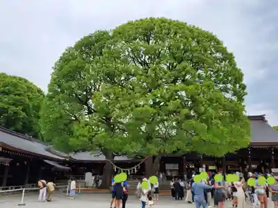 明治神宮(東京都)