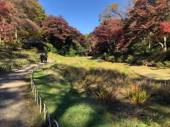 明治神宮の周辺
