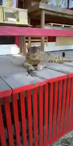 鹿角八坂神社の動物(2021年06月08日(火) 11時29分03秒投稿)