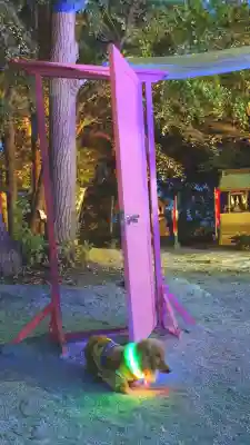 福島八幡宮(福岡県)