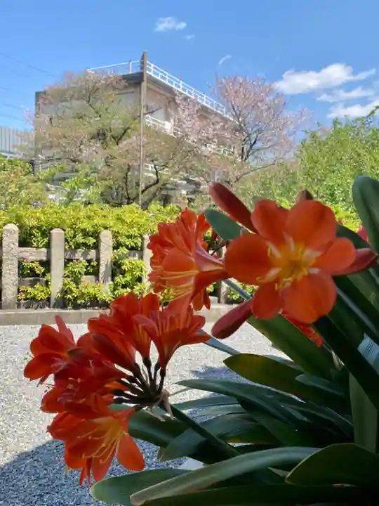 六孫王神社(京都府)