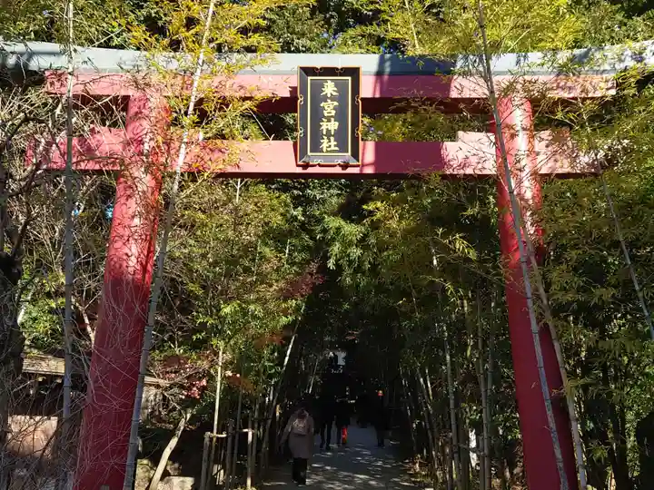 來宮神社(静岡県)
