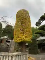 能満寺の自然