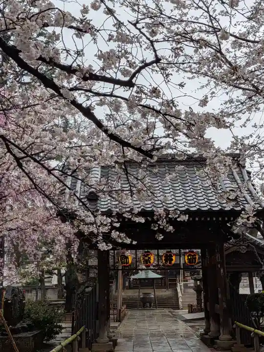 新井薬師(梅照院)(東京都)