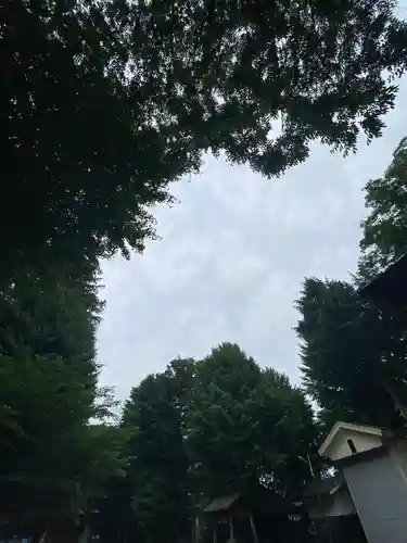小野神社(東京都)