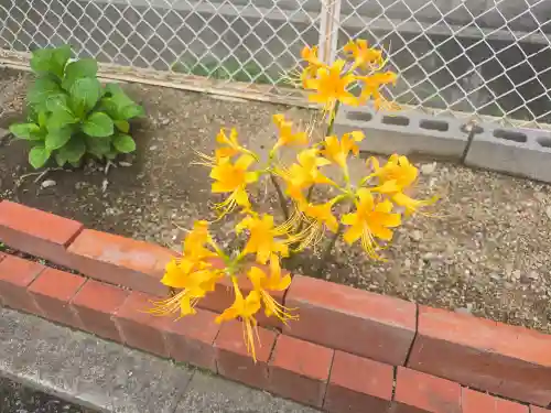 弘妙寺(大阪府)