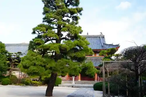 千眼寺の建物その他