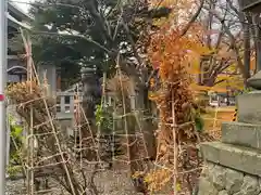 彌彦神社　(伊夜日子神社)(北海道)