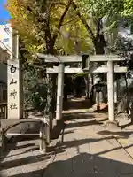 荻窪白山神社(東京都)