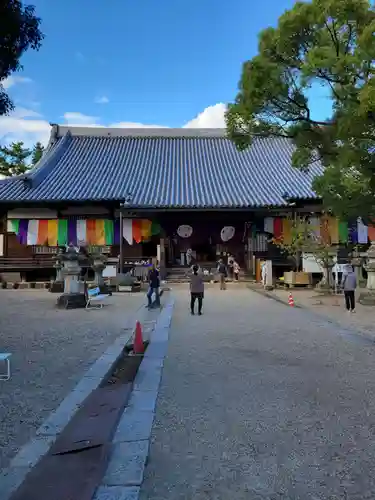 大樹寺（松安院大樹寺）(愛知県)