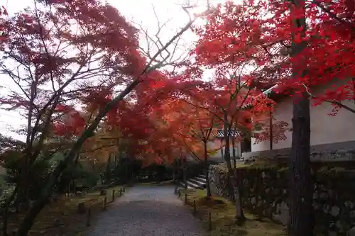 二尊院(京都府)