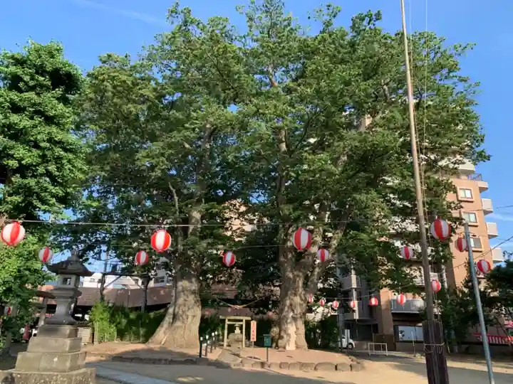 熊野神社の周辺