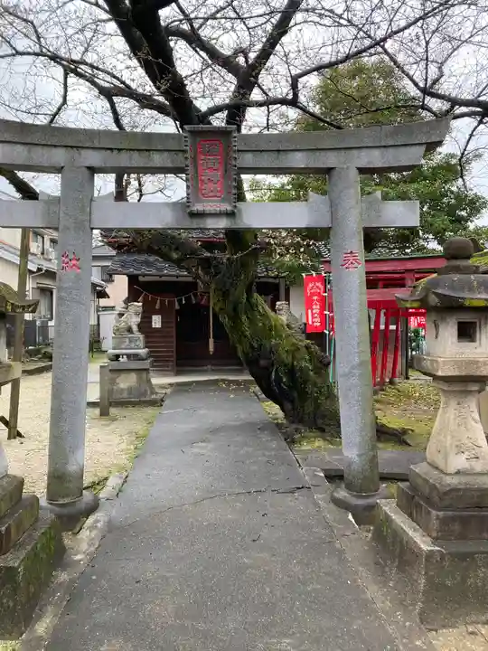 稲荷社(平八稲荷神社)の鳥居