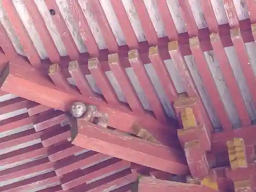 日吉大社(滋賀県)