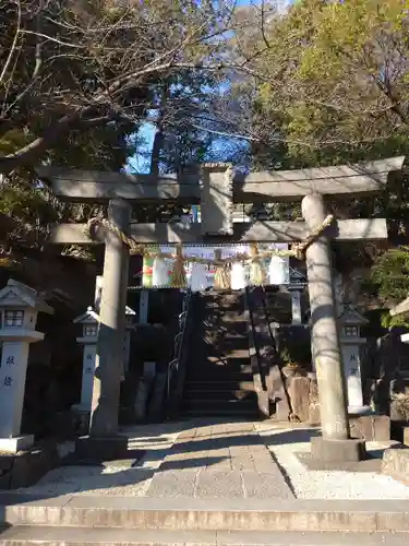 師岡熊野神社の鳥居