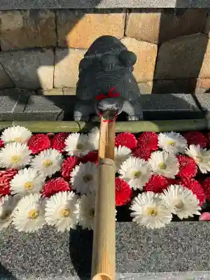 亀山八幡宮の{uncategorized: "未分類", other: "その他", undefined: "問題あり", building: "その他建物", grave: "お墓", sacred_gate: "鳥居", guardian: "狛犬", statue: "像", buddha: "仏像", history: "歴史", nature: "自然", garden: "庭園", animal: "動物", pagoda: "塔", temizu: "手水舎", mountain_gate: "山門・神門", sanctuary: "本殿・本堂", subordinate: "末社・摂社", art: "芸術", scenery: "景色", jizo: "地蔵", ema: "絵馬", goshuin: "御朱印", omikuji: "おみくじ", items: "授与品その他", amulet: "お守り", goshuincho: "御朱印帳", eats: "食事", festival: "お祭り", votive_dance: "神楽", shichigosan: "七五三参", wedding: "結婚式", experience: "体験その他", initially: "初詣", around: "周辺", anti_infection: "感染症対策"}