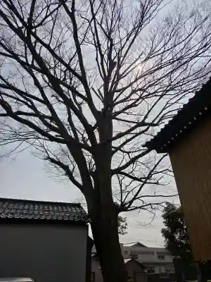 清水八幡神社の{uncategorized: "未分類", other: "その他", undefined: "問題あり", building: "その他建物", grave: "お墓", sacred_gate: "鳥居", guardian: "狛犬", statue: "像", buddha: "仏像", history: "歴史", nature: "自然", garden: "庭園", animal: "動物", pagoda: "塔", temizu: "手水舎", mountain_gate: "山門・神門", sanctuary: "本殿・本堂", subordinate: "末社・摂社", art: "芸術", scenery: "景色", jizo: "地蔵", ema: "絵馬", goshuin: "御朱印", omikuji: "おみくじ", items: "授与品その他", amulet: "お守り", goshuincho: "御朱印帳", eats: "食事", festival: "お祭り", votive_dance: "神楽", shichigosan: "七五三参", wedding: "結婚式", experience: "体験その他", initially: "初詣", around: "周辺", anti_infection: "感染症対策"}