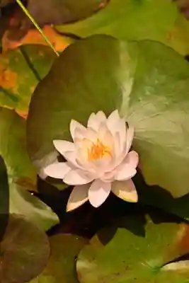 長瀧寺(岐阜県)