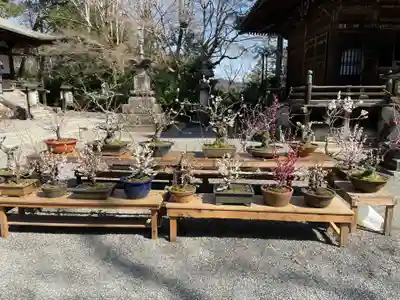 石山寺(滋賀県)
