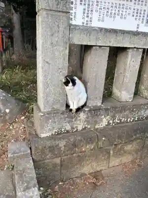 間々田八幡宮(栃木県)
