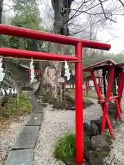 山名八幡宮(群馬県)