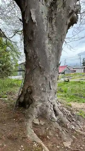 金松寺(山形県)