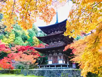 西明寺(滋賀県)