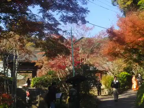 海蔵寺の景色