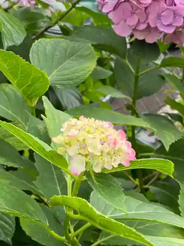 藤森神社の自然