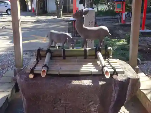 相州春日神社の手水舎