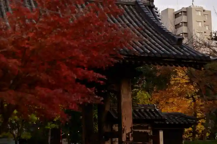 増上寺(東京都)