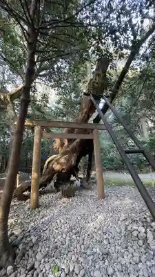 月夜見宮（豊受大神宮別宮）(三重県)