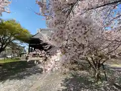 立本寺(京都府)