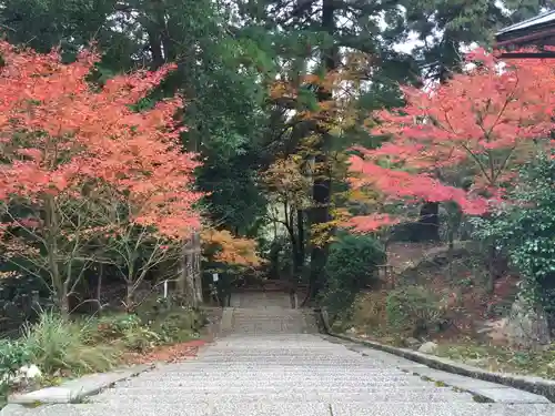 如意輪寺の景色