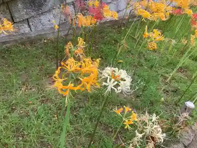 横浜　西方寺(神奈川県)