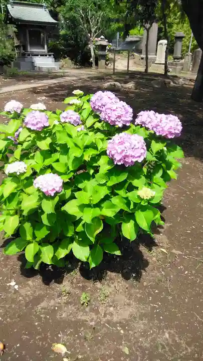時宗総本山 遊行寺(正式:清浄光寺)(神奈川県)