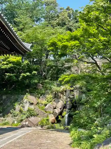 妙蓮寺(神奈川県)