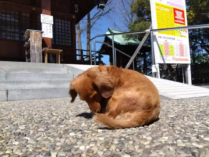 杉杜白髭神社(福井県)
