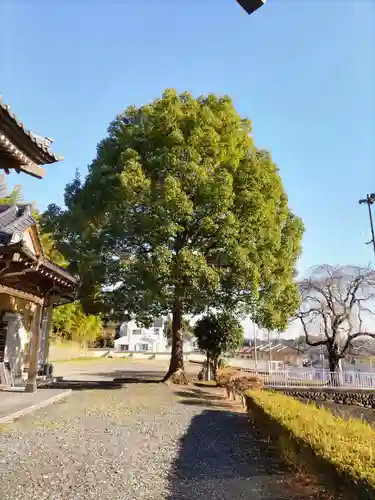 塩船寺の庭園