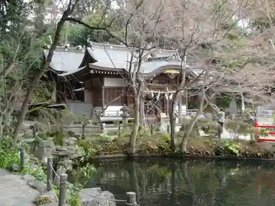 貫井神社の本殿・本堂