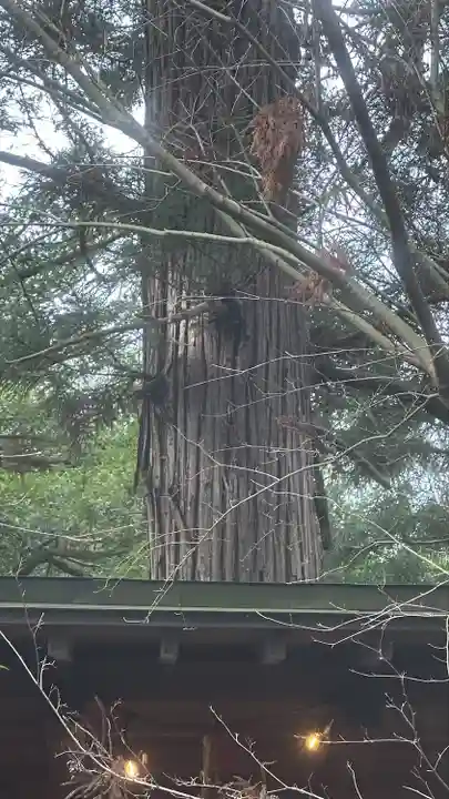 黒沼神社(福島県)