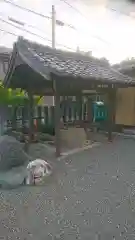 稲荷神社の手水